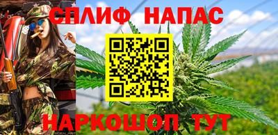 mdpv Можга