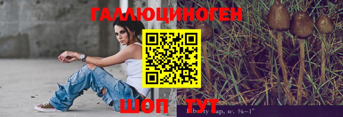 Галлюциногенные грибы MAGIC MUSHROOMS  Псилоцибиновые грибы MAGIC MUSHROOMS  Вход с VPN  сколько стоит  Иркутск 